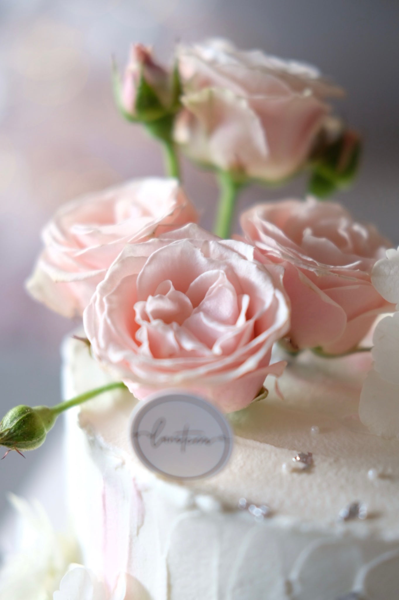 Mini Roses